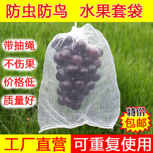Li Jian fruit bagging bird-proof universal bag melon and fruit insect-proof special bag fig loquat grape peach strawberry breeding