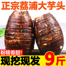 �V�����r�������r���^����Ŵ���^���r�F�ڙ�����ë��ܵ10�r��