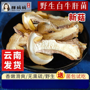 ţ�ξ���؛500g Ұ�����Ҝ�����ʳ�Ĵ������p��Ǿ��صȼ��x�ݻ�