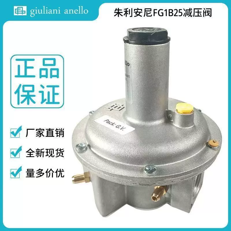 Редукционный клапан давления газа Juliiani FG1B15/FG1B20/FG1B25, итальянский регулятор давления