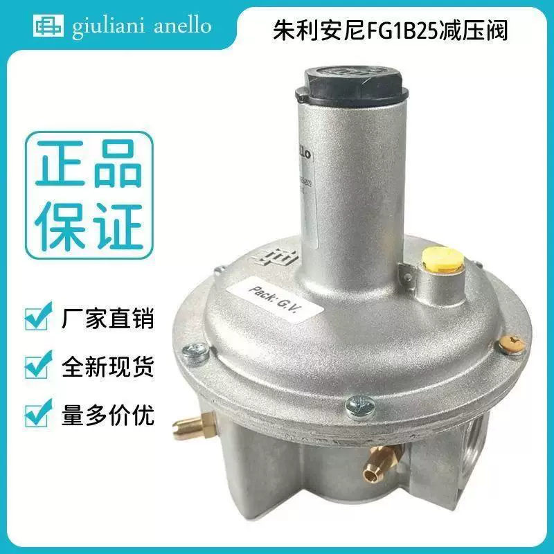 Газовый редукционный клапан Giuliani FG1B15/ FG1B20 /FG1B25 Италия клапан регулирования давления