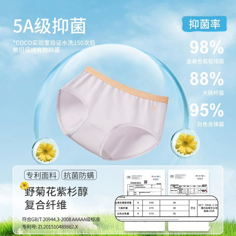 Underwear, trousers for students, for secondary school, for teenagers