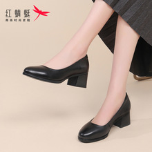 �t����ŮЬ�ļ�2024�¿��I�ָ��߸�һ�_��СƤЬŮ��Ƥ���ꋌ��