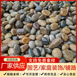 Wholesale 8-12 Pebbles Engineering Paving Pool Landscaping Transformer Filtration Construction River Pebbles Fish Tank Landscaping Stone