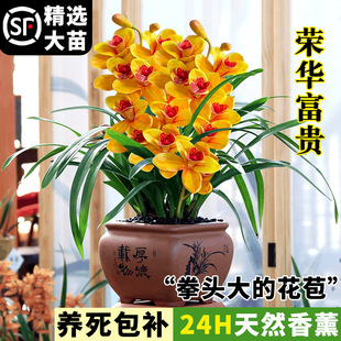 �s�A���F���F�m���罨�m�Ď�����������B�����҃ȾGֲ����