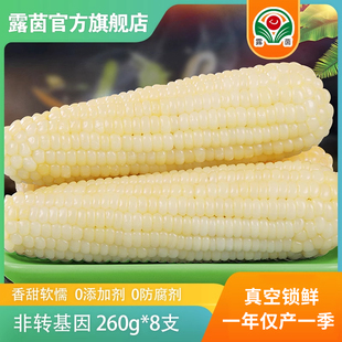 ���������]������Ŵ�����r�ճ���׷ǖ|����Ŵ�����װ�����b