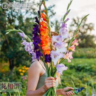 �M�ڄ��m�N�������ѻ���ͥԺ�̨���Զ�����������ܻ��箔���_��