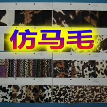 ���RëƤ���챪�y��С���c��ëֲ�qб�y���׷��bЬ������ִ�����