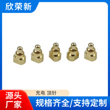 �����쾀����s�ᘏ���ᘲ��^����������쾀����~�|�c�S��