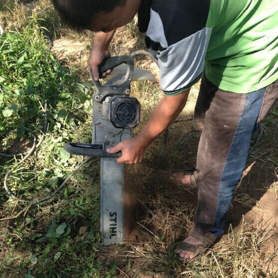 AY-70汽油挖树机  电动挖树机厂家直销