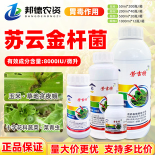 �ڼ��� 8000IU�K녽�U�������x��x؝ҹ�����ײ˲ݵ��������x��