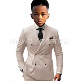 外贸新款儿童西装欧美跨境新款简约休闲男童两件套花童西装