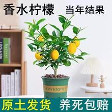 ���ʘ仨�����ԾGֲ�ļ����G�҃ȿ͏d����ֲ���̨ͥԺ������B��