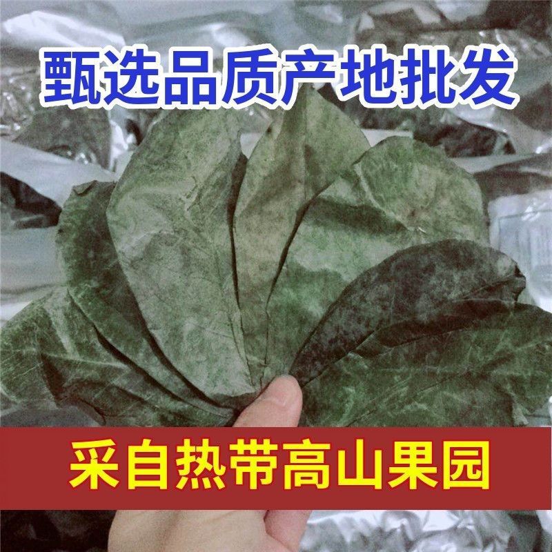 Whole Dried Soursop Leaves 120g Bag Freeze Dried Herbal Tea Leaves for Daily Infusions quality and texture