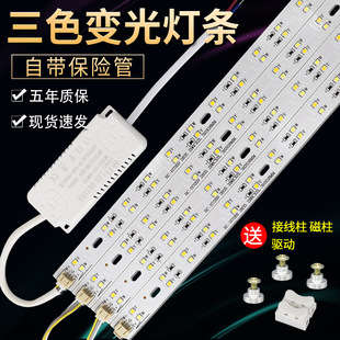 led��픟���Q��о�����L�l�􎧼�����ɫ׃��led���l�NƬ���N��Ƭ