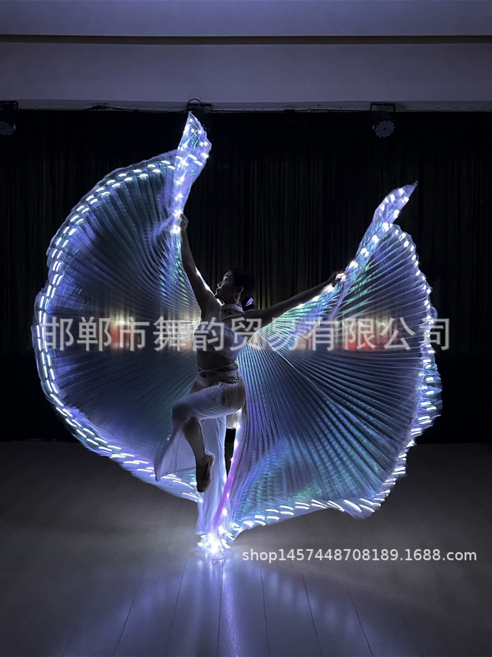 Accesorios de espectáculo de escenario danza alas de hadas iluminadas LED fiesta cosplay luz blanca fábrica directa