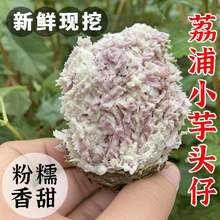 荔浦香芋仔粉糯香甜牛奶芋艿红芽芋槟榔芋毛芋头白芽芋农家种