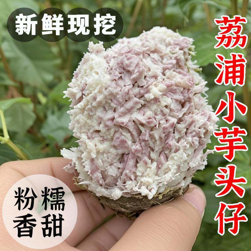 荔浦香芋仔粉糯香甜牛奶芋艿红芽芋槟榔芋毛芋头白芽芋农家种