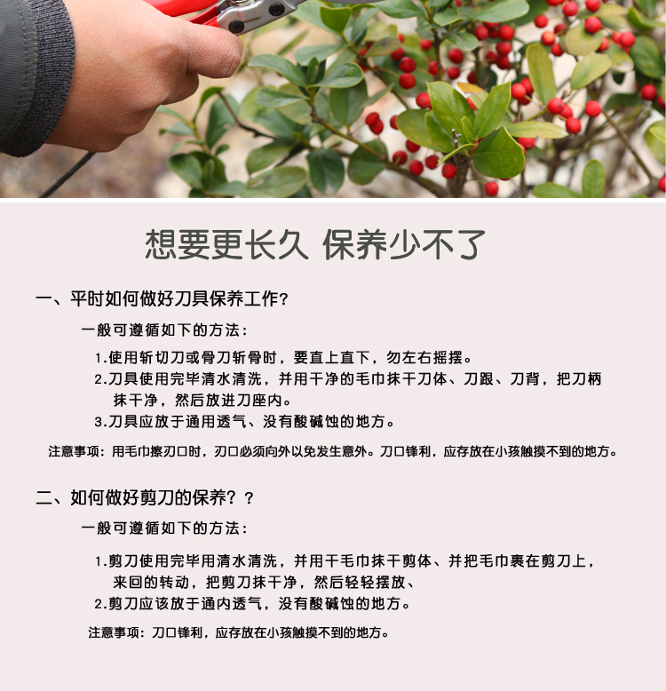 工厂批发园林工具枝条苗木花卉修枝剪小型农业家用手动快速树枝剪详情12