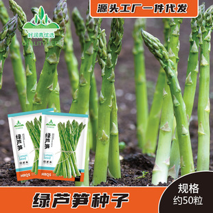 �G�J�S�N�Ӷ������Gɫ�J�S�N����횲�ʯ��طN�ݲ˷N�Ӳ��Ѳ˷N��