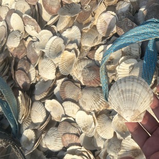 ؐ�� ��Ȼ����ؐ���L���ֹ����Ͽɰ������l���к��b� ��ؐ��ؐ��