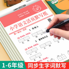 2025新版小学语文默写纸人教版课本同步练字帖看拼音写词语按动