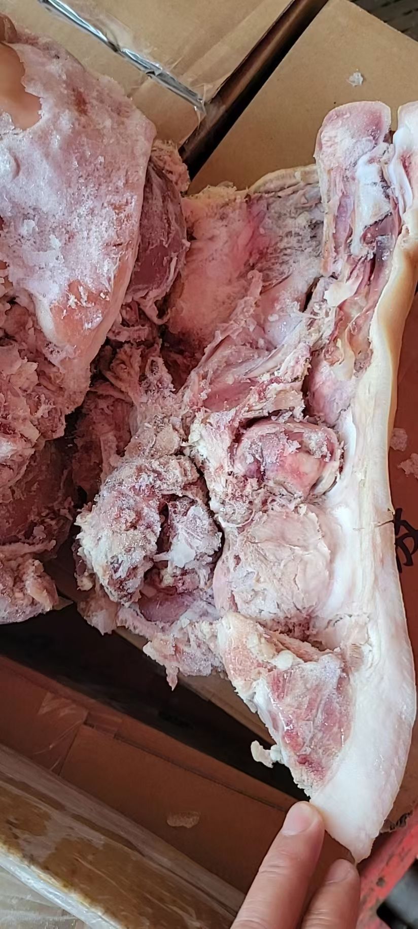 QQ图片20221019110342