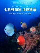 �߲������~�^�p�~�Ꭷ�~��С�����~ؔ�����ӻ��w��ˮ�~��Ʒ�|���B