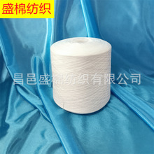 滌腈紗21S筒紗絞紗在機生產 再生滌腈紗 滌腈麻灰紗 滌腈色紡紗
