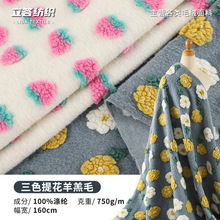 羊羔绒面料毛呢提花布立体提织布毛绒布植绒布涤纶羊羔绒