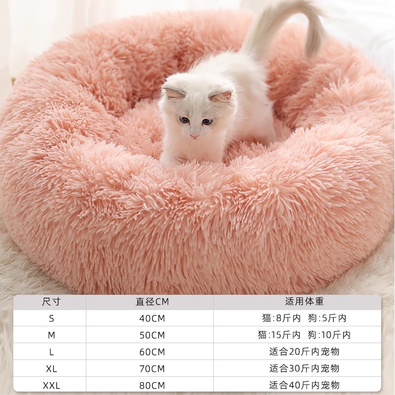 Invierno de invierno