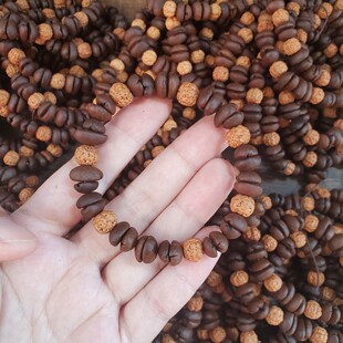 ����ʽ��Ȼ���ȶ��ִ�̴ľ�����R������L����^���u