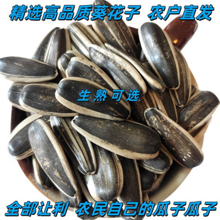 10��50�������l�r����������������؛����bɢ�b�������Ӵ��w��