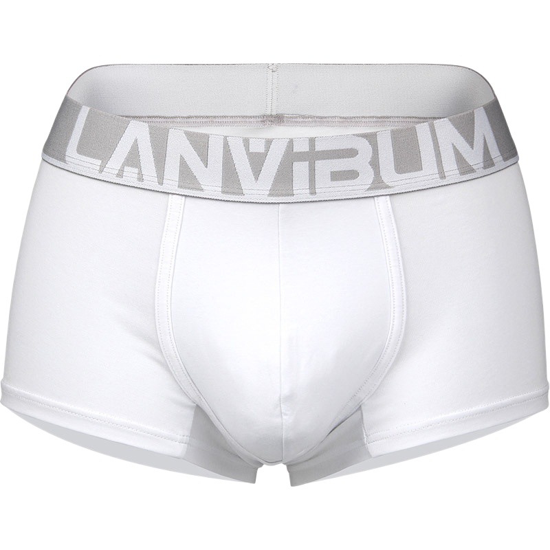 Men's Underwear Sports Boxer Briefs Cotton Mid-Waist Large Size Sexy Trendy Men Sexy Korean Style Boxer Shorts Wholesale