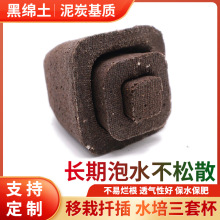 �o����������m̼�޷Nֲ���������λ��|ֲ��̿����̿���������ױ�