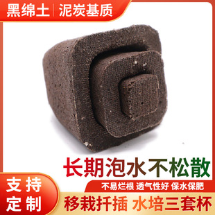 �o����������m̼�޷Nֲ���������λ��|ֲ��̿����̿���������ױ�