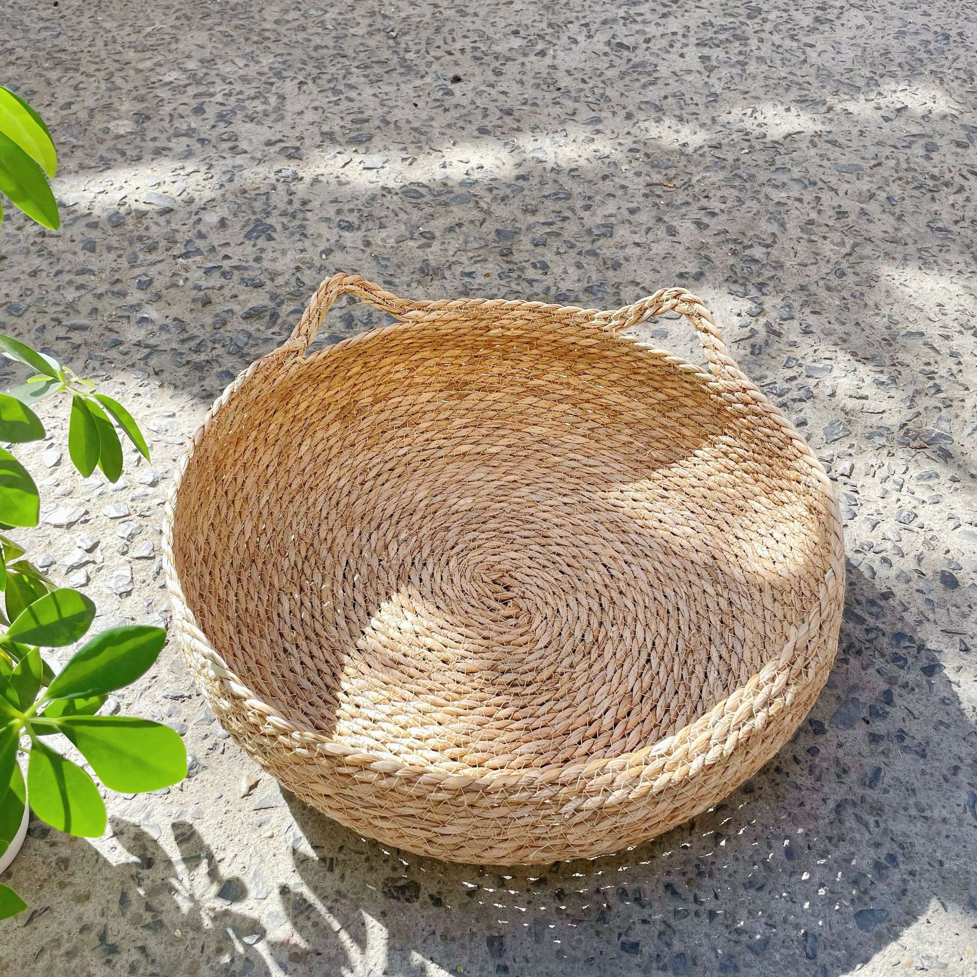 고양이 귀 맨둥지