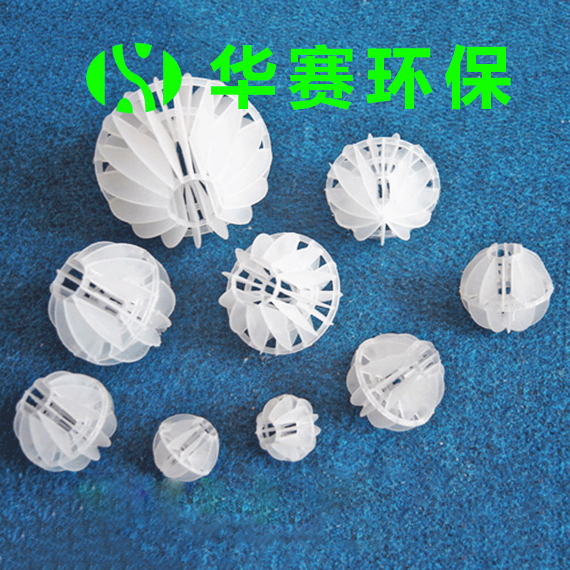 2905828543_379011010