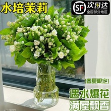 ˮ�������r������ϻ���ֱ�l���ò廨�������҃ȾGֲ���ļ��_��