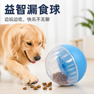 �羳����Ȯ�L���������©ʳ��؈�乷�����˽␞Ӗ��Ғʳ��