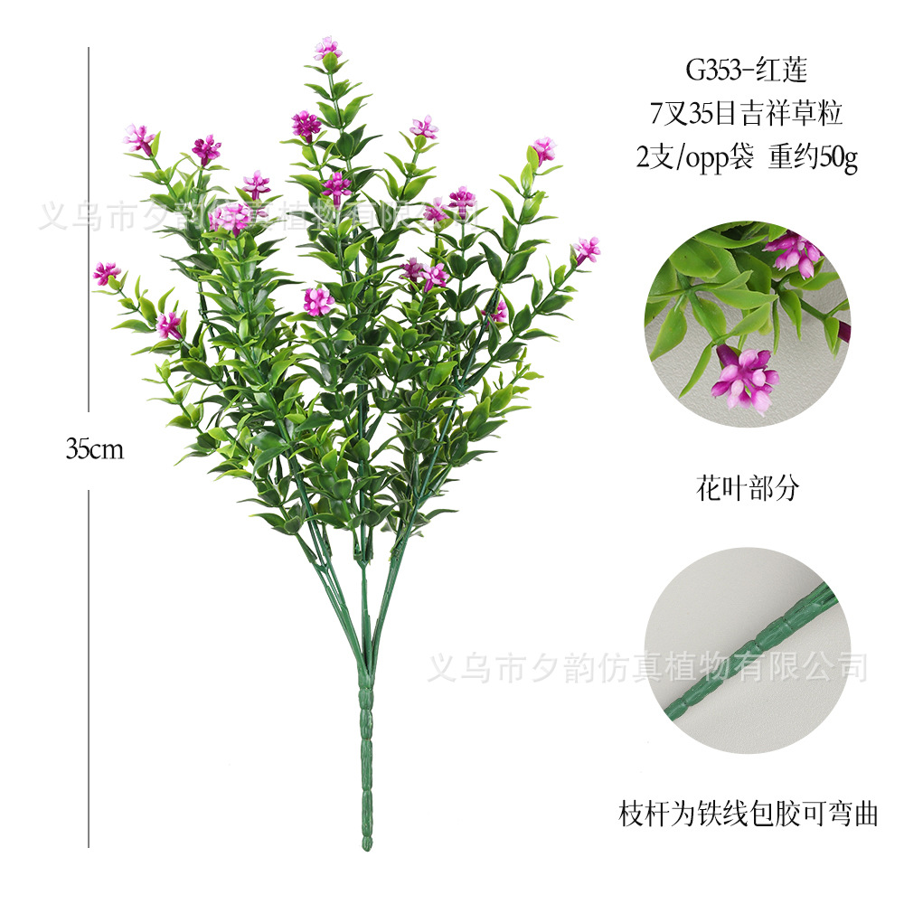 G353-홍련 7갈래 상서로운 풀알