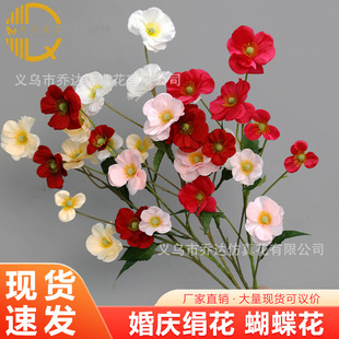 ����6�^���������滨���l �����ٻ���c��Y�üҾӾƵ�[�ŵ��߻�