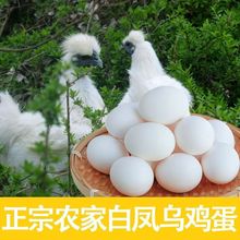 40新鲜白凤乌鸡蛋白壳鸡蛋孕妇儿童营养笨草散养土鸡蛋整箱批发