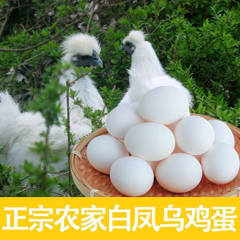 40新鲜白凤乌鸡蛋白壳鸡蛋孕妇儿童营养笨草散养土鸡蛋整箱批发