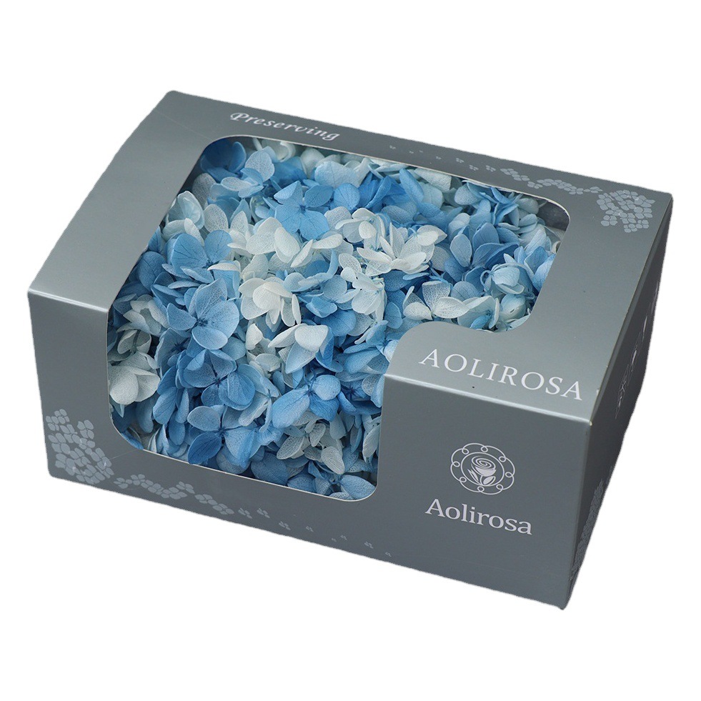 Grado A gradiente de madera Hortensia gradiente Hortensia flor eterna unicornio flor seca Hortensia flor eterna al por mayor