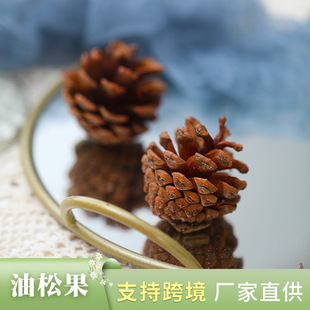 ��ɫ���ɹ����� �ɻ�diy���ϰ������Ĕz���ߔ[�����������ɻ����l