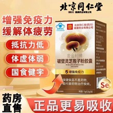 北京同仁堂破壁灵芝孢子粉胶囊成人中老年滋补品保健品 源头直供