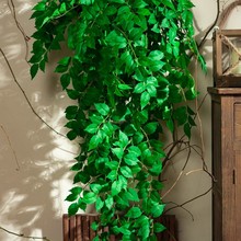 ��Ʒ�|����Gֲֲ�ﴹ�������ٻ��������ٗl�����҃��쾰�b[��