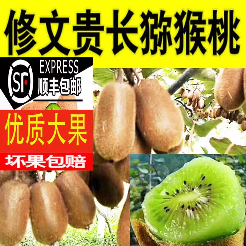 顺丰包邮贵州修文贵长猕猴桃新鲜孕妇水果绿心奇异果5斤10斤