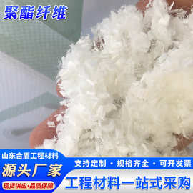 聚酯纤维厂家直供沥青混凝土抗裂道路工程纤维造纸用PET短切纤维